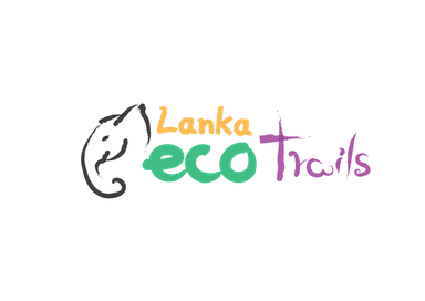 logo icon